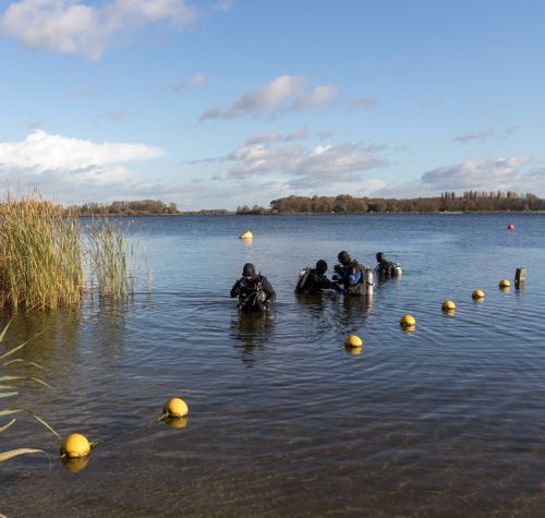Duikers in Het Twiske die zich voorbereiden