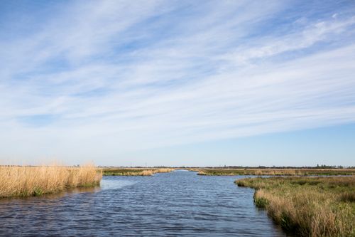 Het Ilperveld vanaf het water.