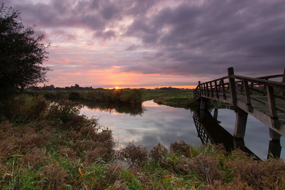 Een wandelbrug in Het Twiske met een prachtige roze lucht.