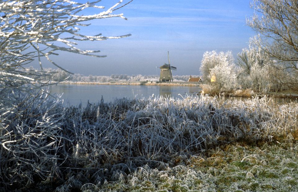 Winters landschap in Het Twiske