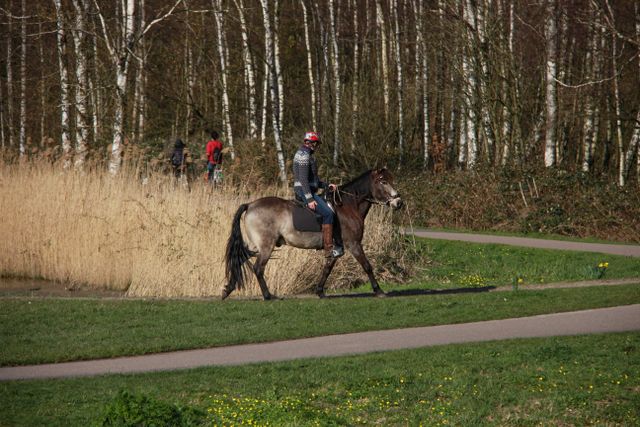 Iemand die aan het paardrijden is in Het Twiske