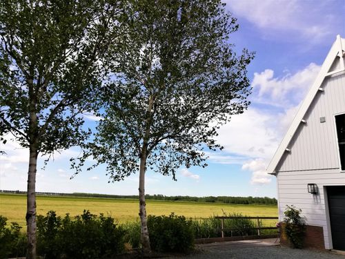 Landelijke B&B in Noord-Holland. Jo's B&B.