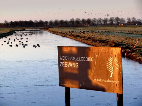Weidevogelgebied Zeevang