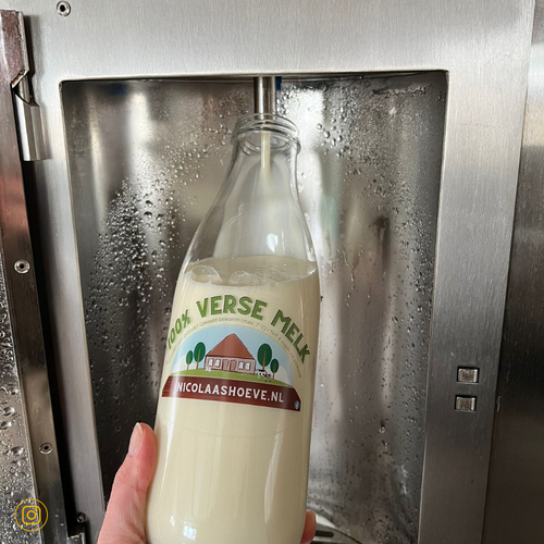 Melktap bij de Nicolaashoeve in De Beemster.