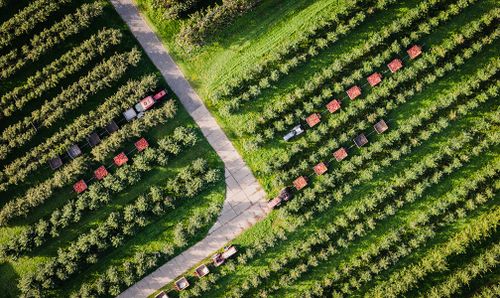 Luchtfoto van De Proeftuin in De Beemster.