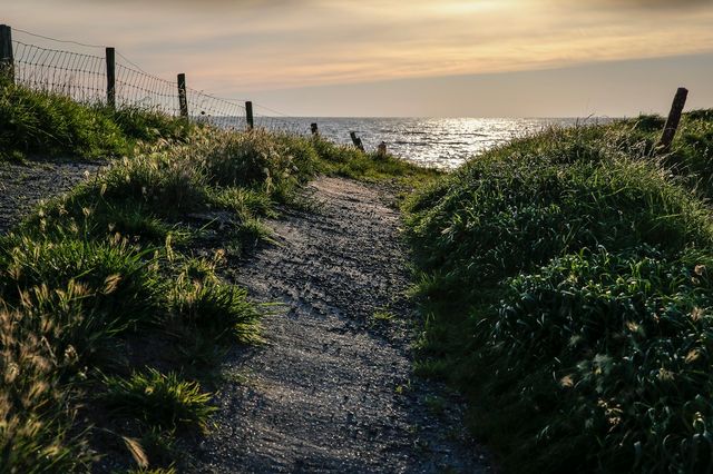 De dijk bij Warder-Etersheim bij zonsondergang met uitzicht op het water.