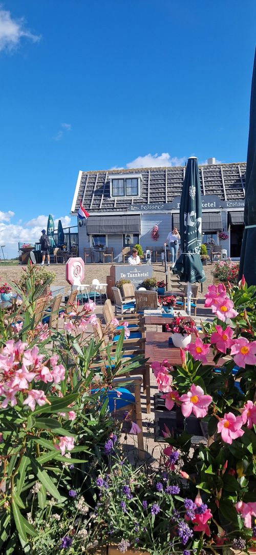 Terras in de haven van Marken bij Brasserie de Taanketel.