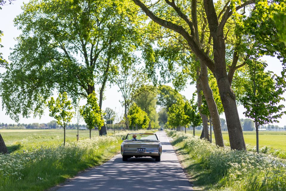 Met de auto door de Beemster