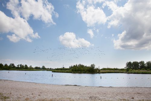 Een beeld van het water in het Twiske genomen vanaf de kant