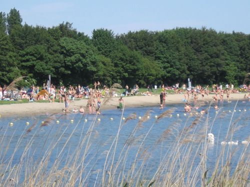 Een foto van een twiskerstrand met een bos op de achtergrond