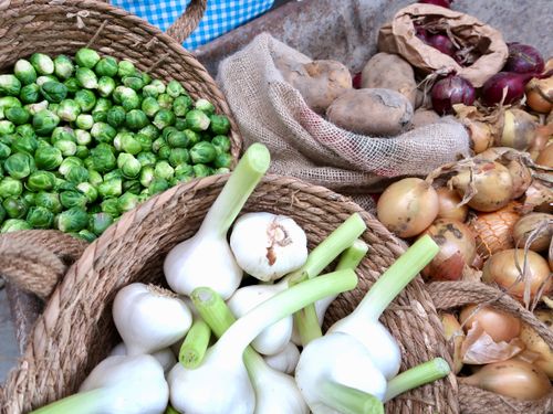 Verse knoflook uit De Beemster.