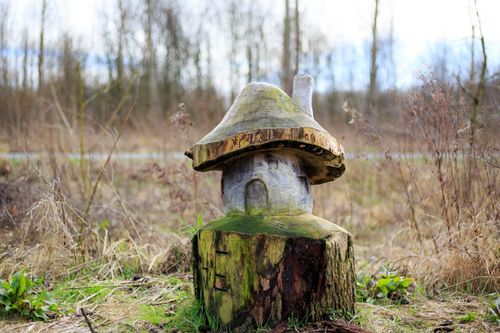 Houten paddenstoel in het Speelbos in het Purmerbos
