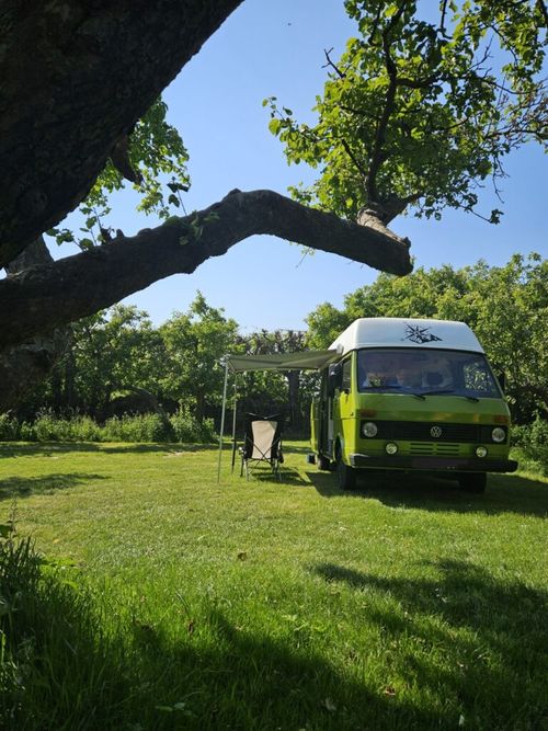Kampeerbusje op de camping In het Fruit