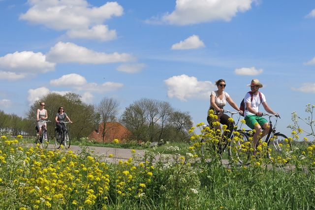Fietsers in de Beemster.
