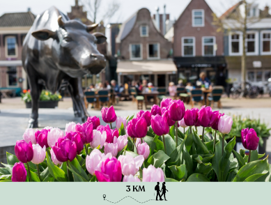 Cover foto van de route Kunst in de binnenstad