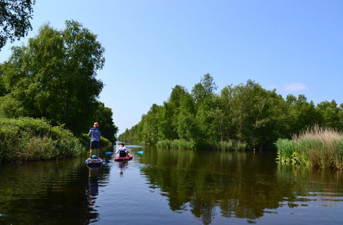 Twee mensen die aan het suppen zijn door het Ilperveld