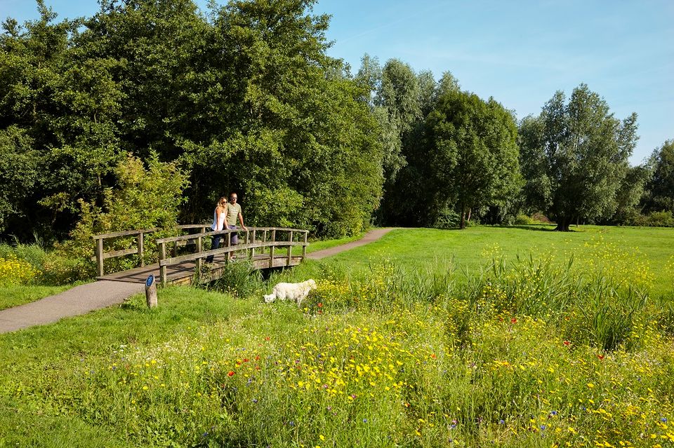 Wandelaars met hun hond in Hemmeland