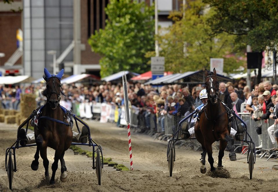 Twee paarden tijdens de harddraverij in Purmerend