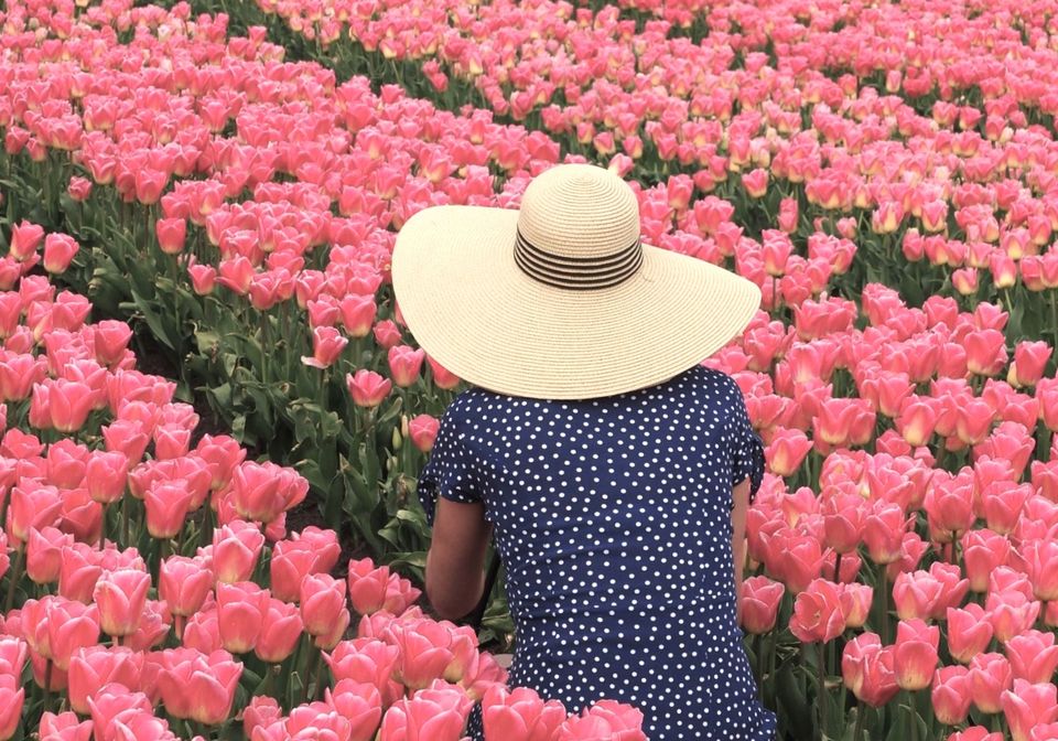 Een vrouw tussen de tulpen die ze fotografeert