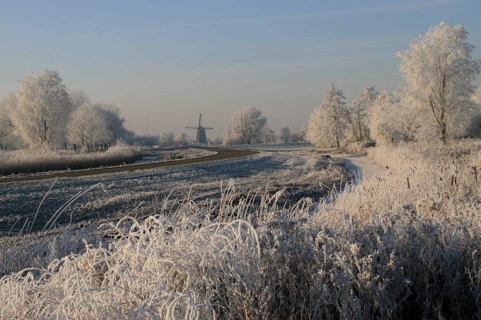 Een winterse foto van het Twiske met de Twiskemolen op de achtergrond