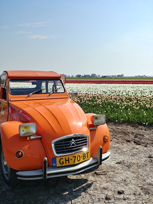 Auto van Ducktrail aan het tulpenveld Beemster.