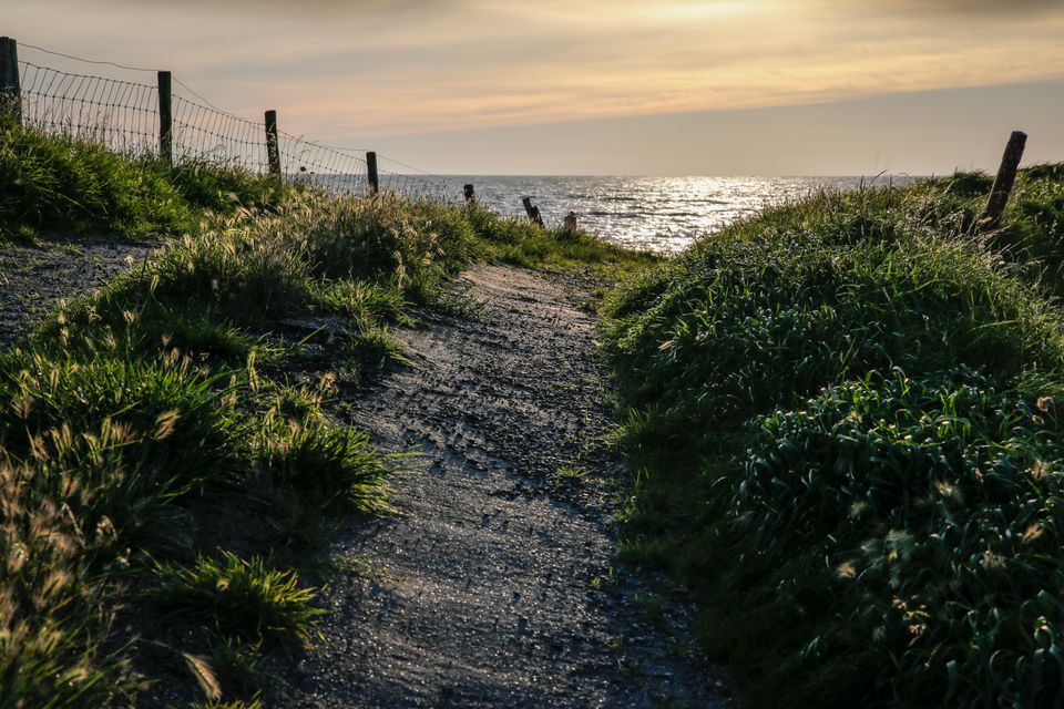 De Dijk uitkijkend op het IJsselmeer in de Polder Zeevang.