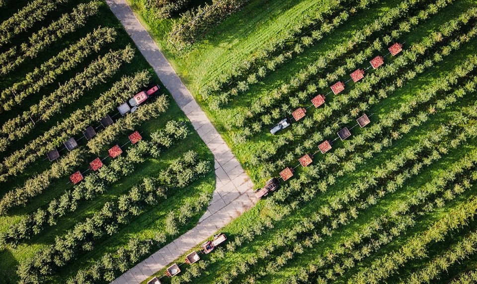 Luchtfoto van De Proeftuin in De Beemster.