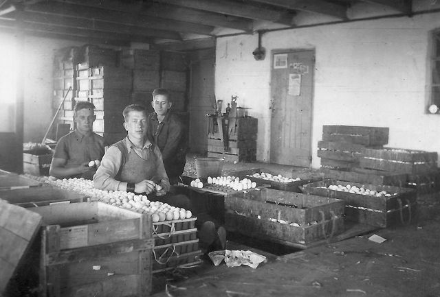 Dorpsstraat 54 - Eierpakhuis Goede - op de voorgrond L.P. Sneek - 1933