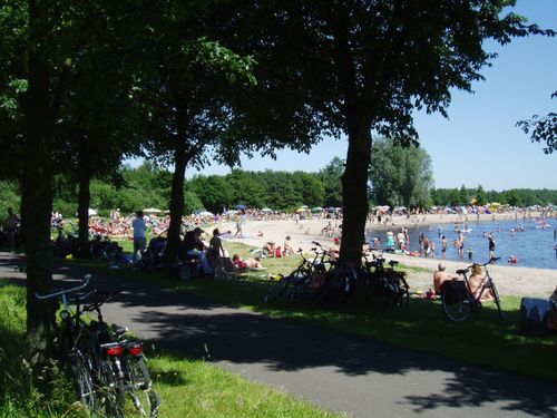 Een foto van een twiskerstrand genomen van tussen de bomen